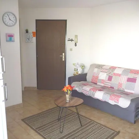 2 Pieces Avec Acces Direct Plage, Terrasse Et Parking - Fr-1-387-146 Agde